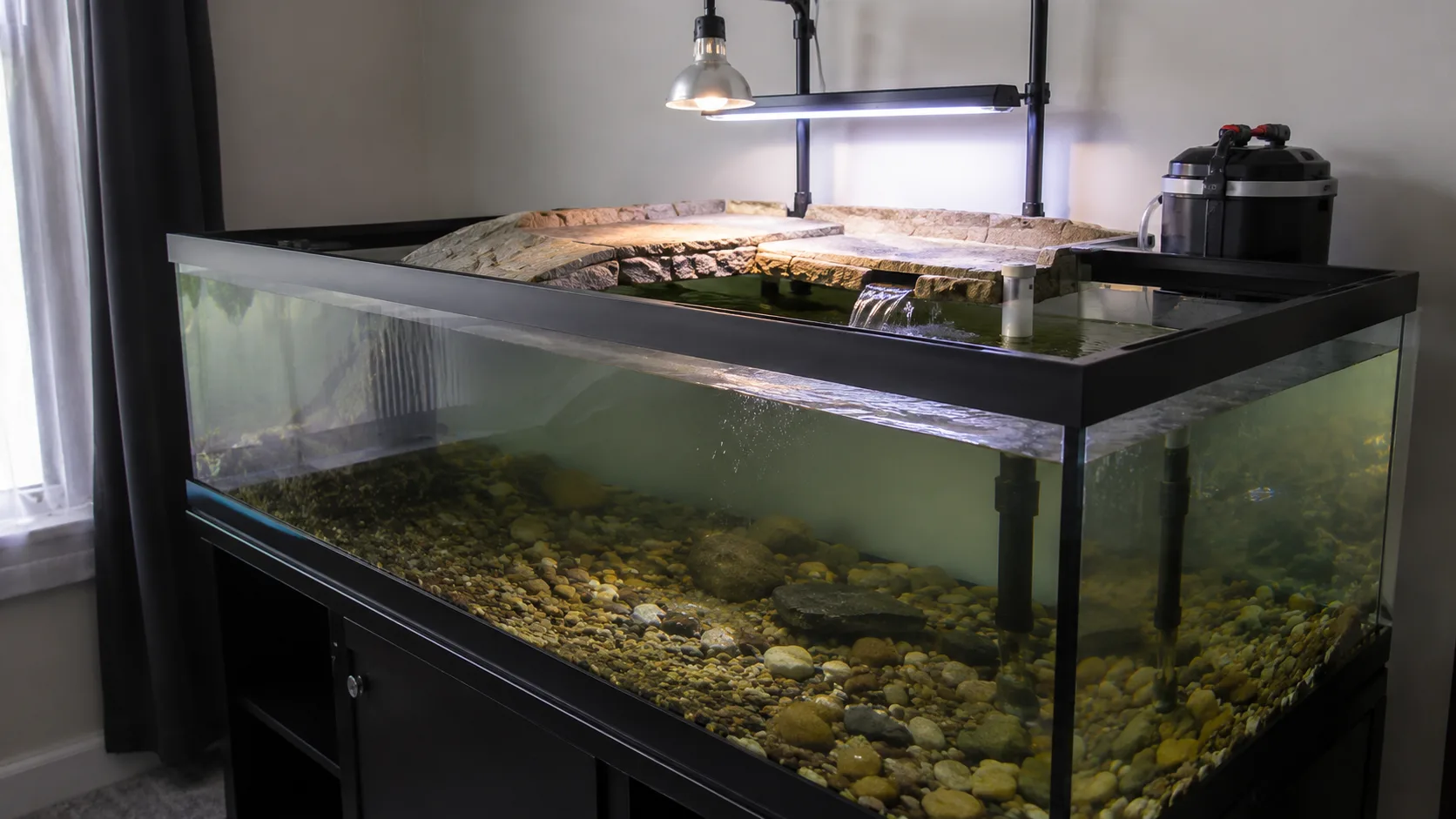 A large 100-gallon adult red-eared slider tank with deep water section, dry basking platform, and external canister filter visible behind.