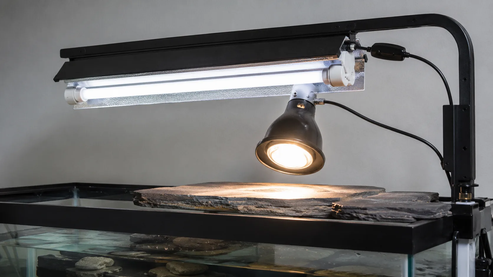 A T5 high-output UVB tube fixture mounted above a slider basking platform inside a 100-gallon aquarium, with the platform fully dry.